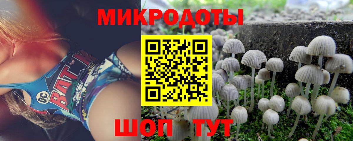 Псилоцибиновые грибы Cubensis Горячий Ключ