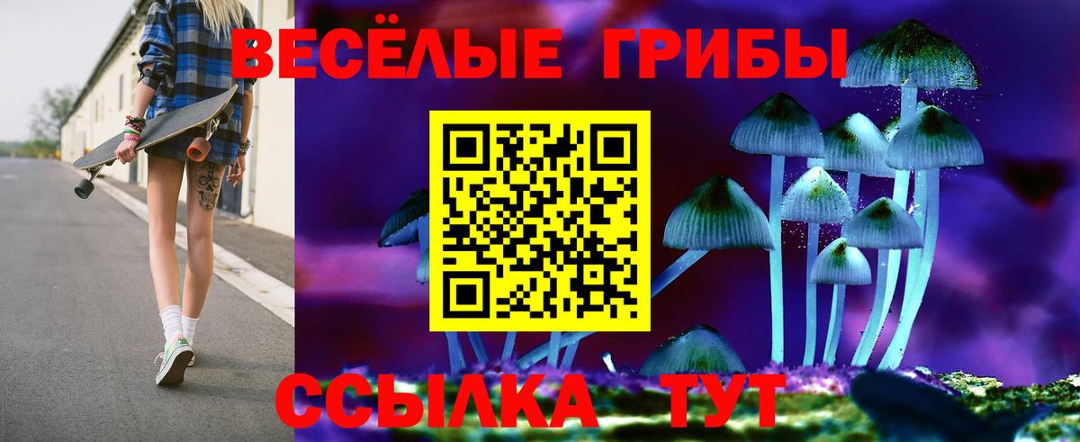 Горячий Ключ  Псилоцибиновые грибы Psilocybe  Вход с VPN 
