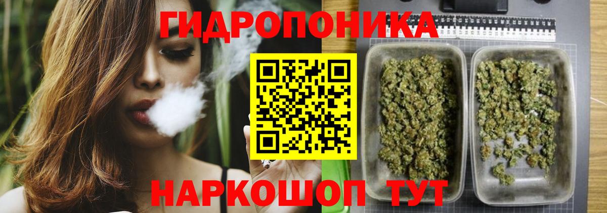Бошки марихуана сатива Горячий Ключ